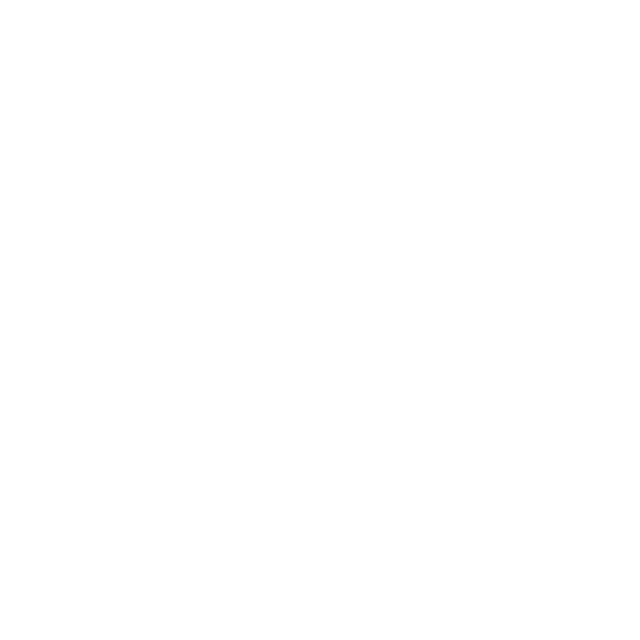 Bed-solid